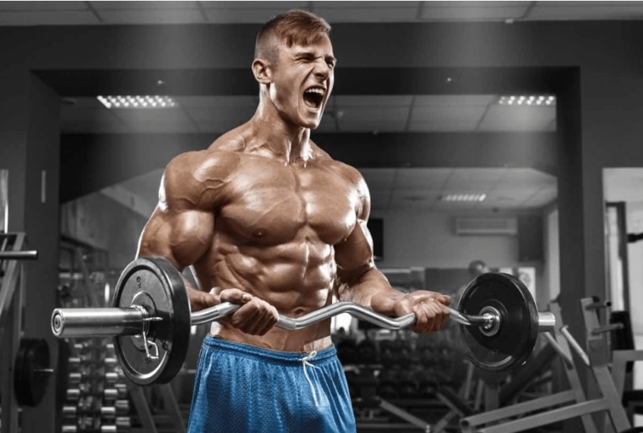 How does Primobolan (methenolone enanthate) work